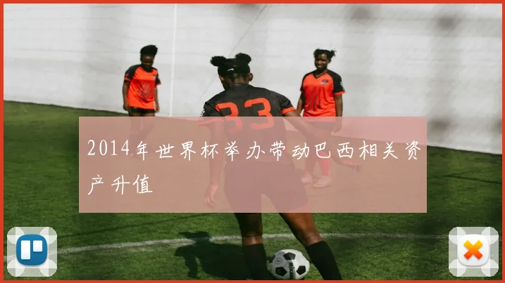 2014年世界杯举办带动巴西相关资产升值