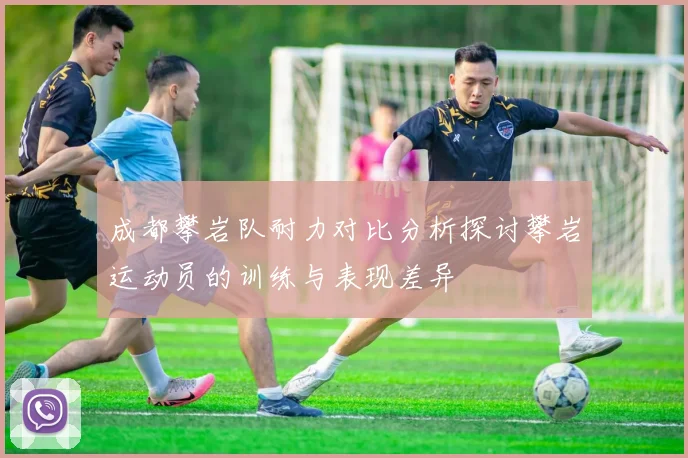 成都攀岩队耐力对比分析探讨攀岩运动员的训练与表现差异