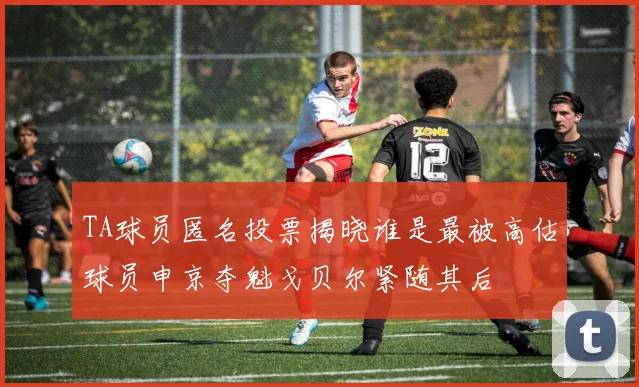 TA球员匿名投票揭晓谁是最被高估球员申京夺魁戈贝尔紧随其后
